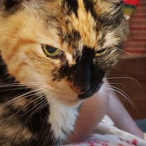 Meet your Posher, Kerry